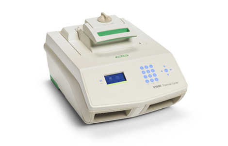 a(chn)ƷQS1000™ PCR x