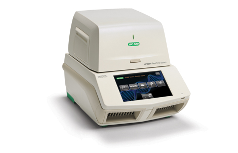 CFX384 Touch™ ɹⶨ PCR zyϵy(tng)